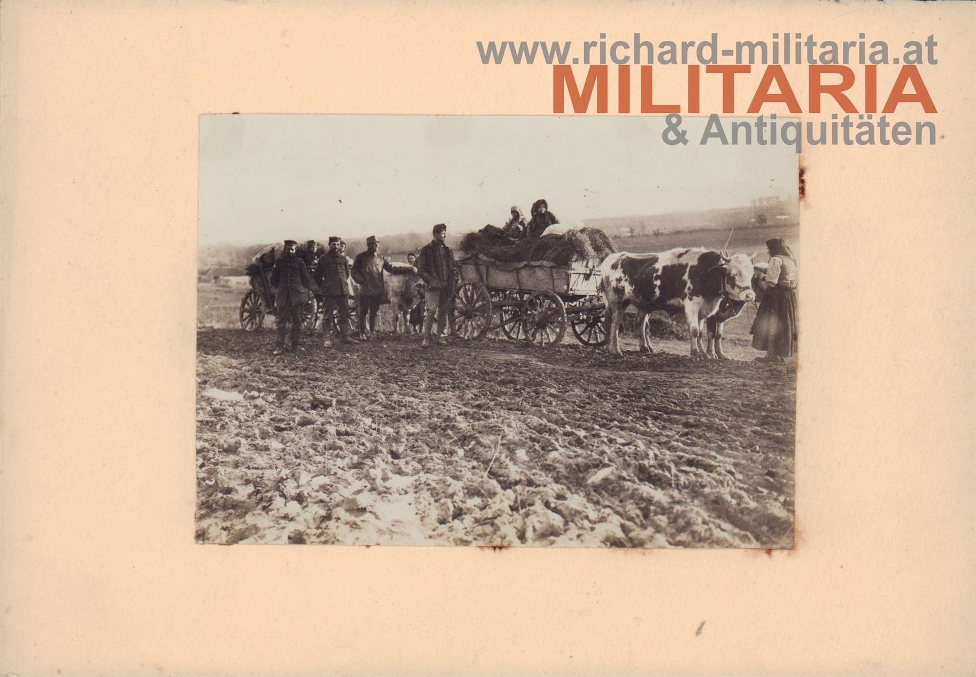 Konvolut 6 Foto - FLik 15 SERBIEN/Cattaro