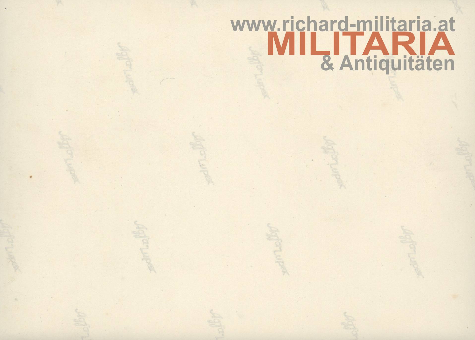 1. Republik - Theresianische Militärakademie - Ausmusterungsfoto
