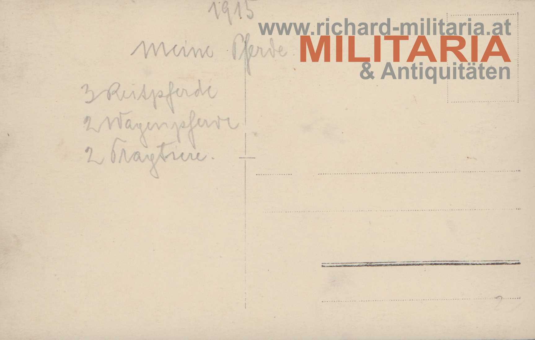 k.u.k. IR 67 – Oberst Kleinschrodt / Ukraine – Wolhenien- "Meine Reitpferde"