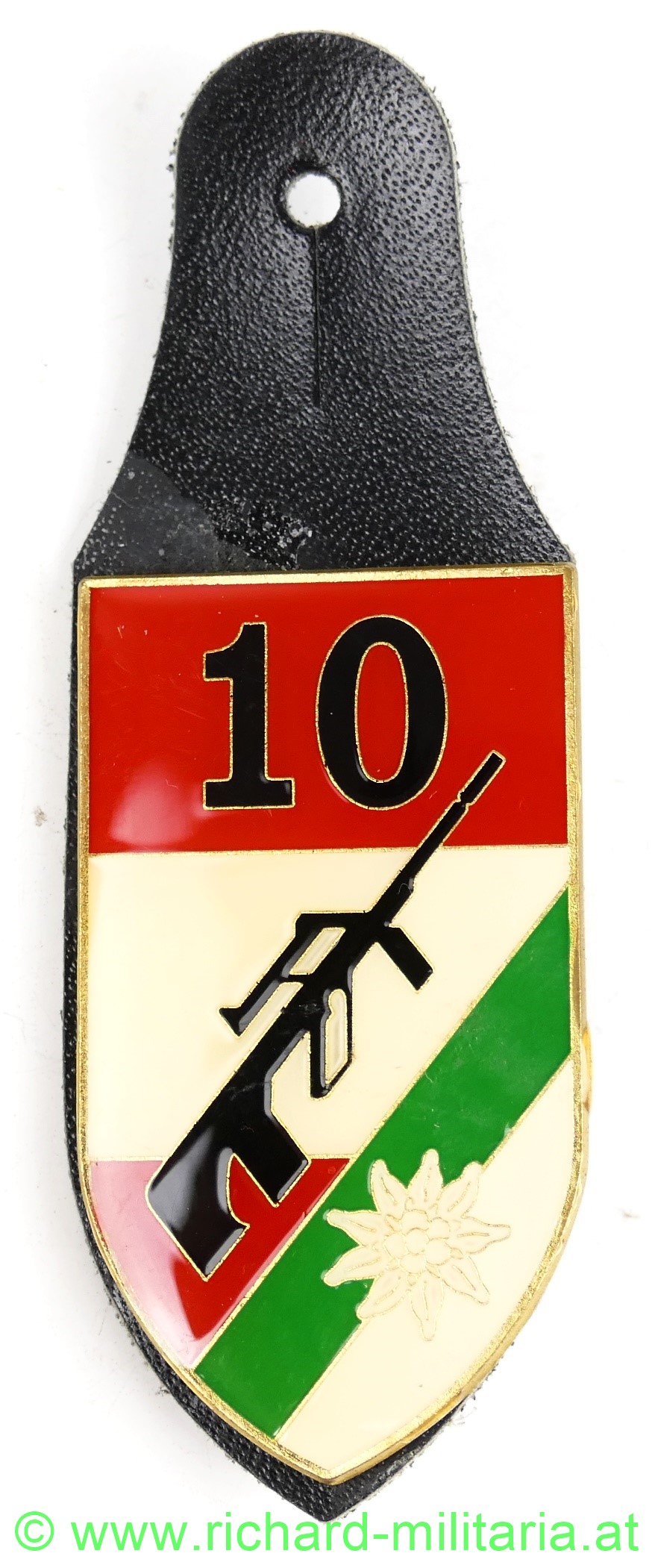 Österreich Truppenkörperabzeichen JägerRegt 10