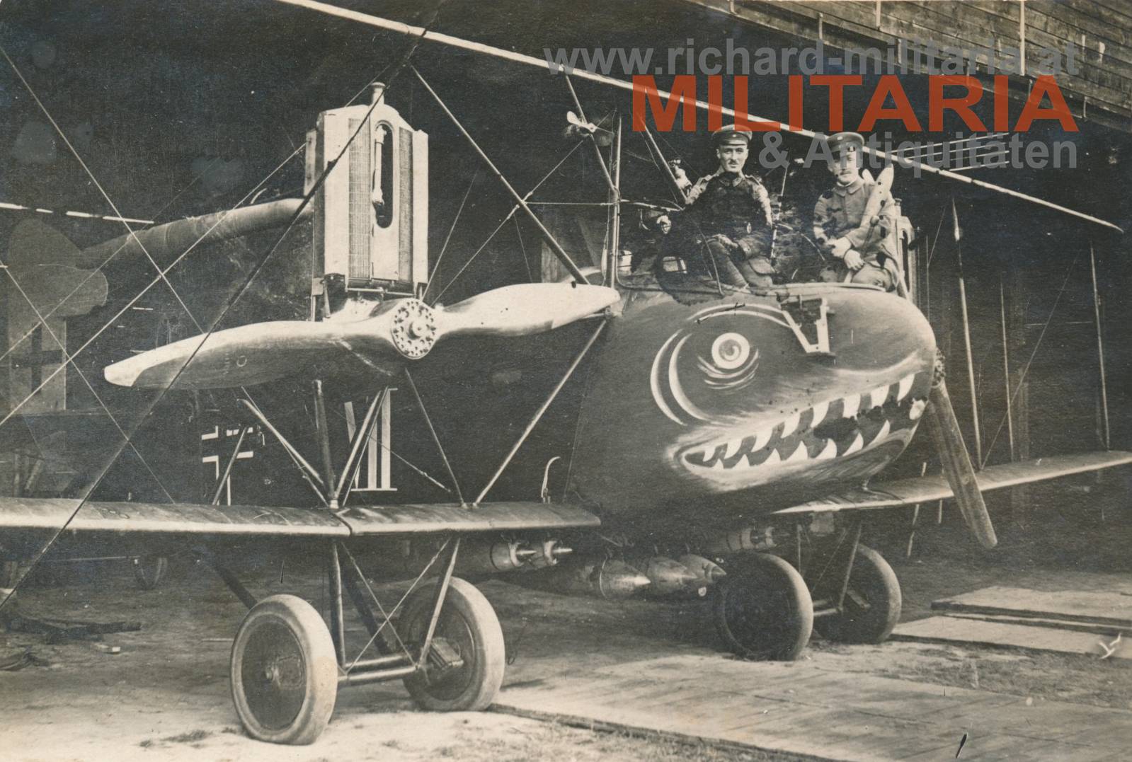 Deutsches Kaiserreich - Flugzeug - Haifischbemalung