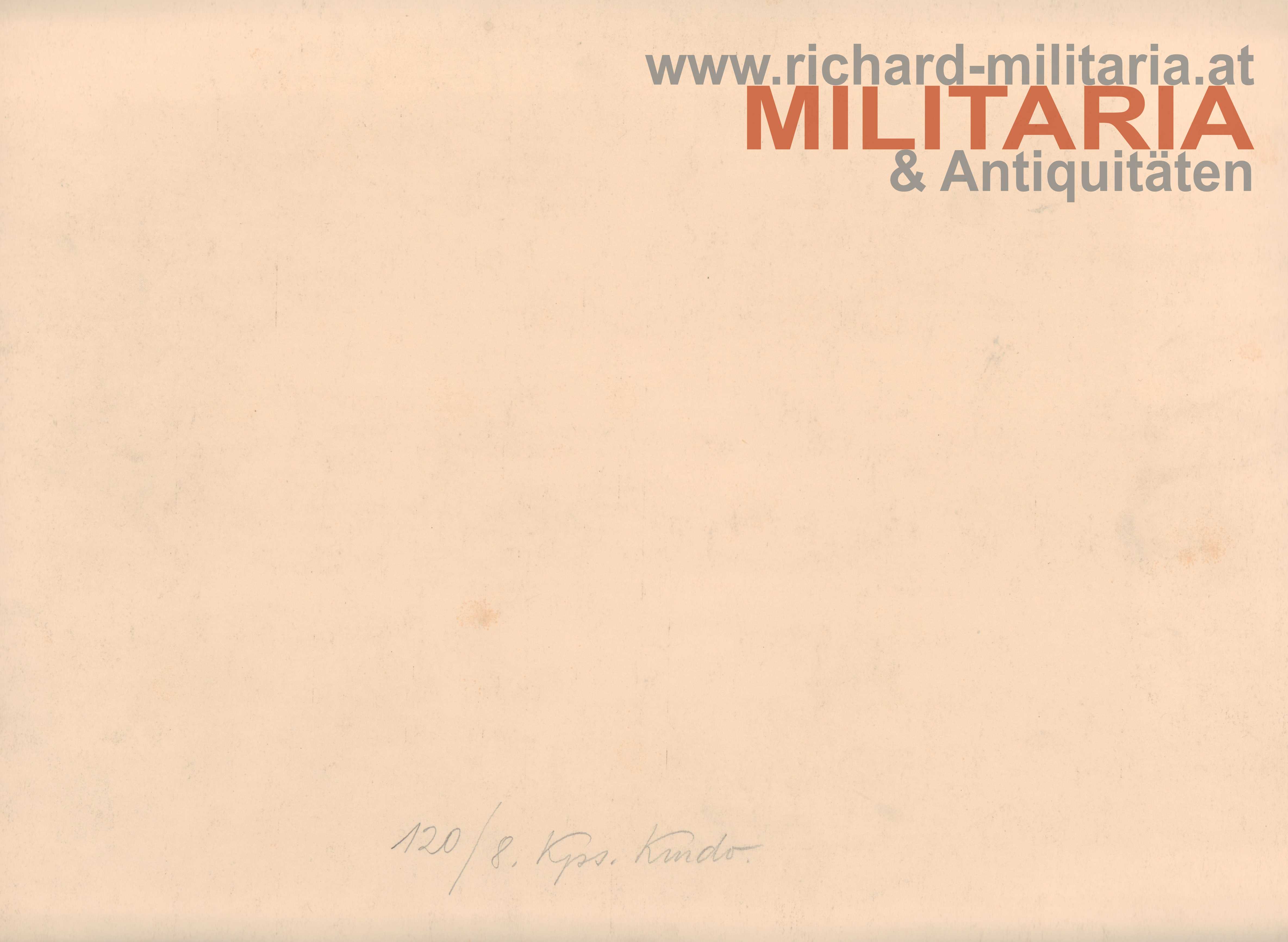 k.u.k Foto - Transportschiff mit zwei Torpedobooten bei Neum (Bosnien) 1916