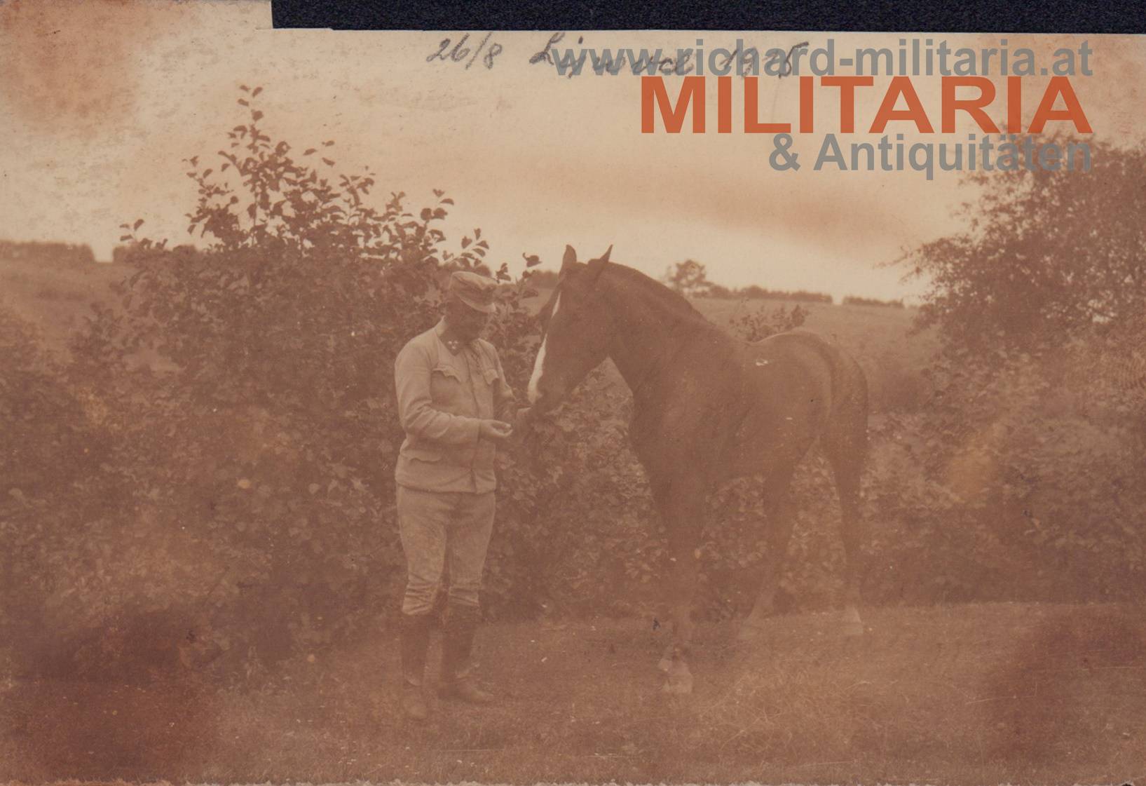 k.u.k. PK - Hauptmann mit seinem Pferd bei Lipovce - August 1915