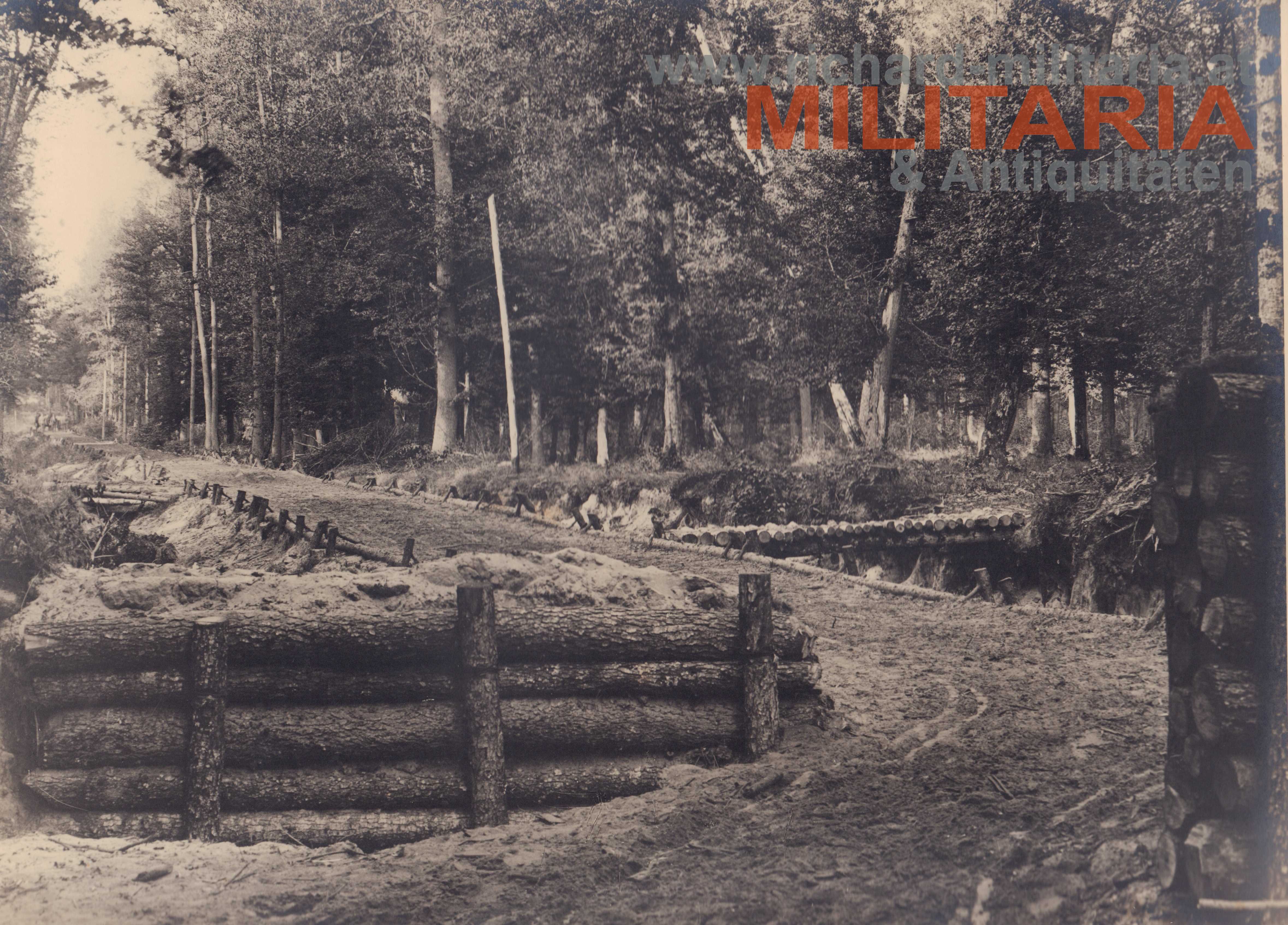 k.u.k. Foto - befestigter Weg in einem Karpatenwald - 25. JTD