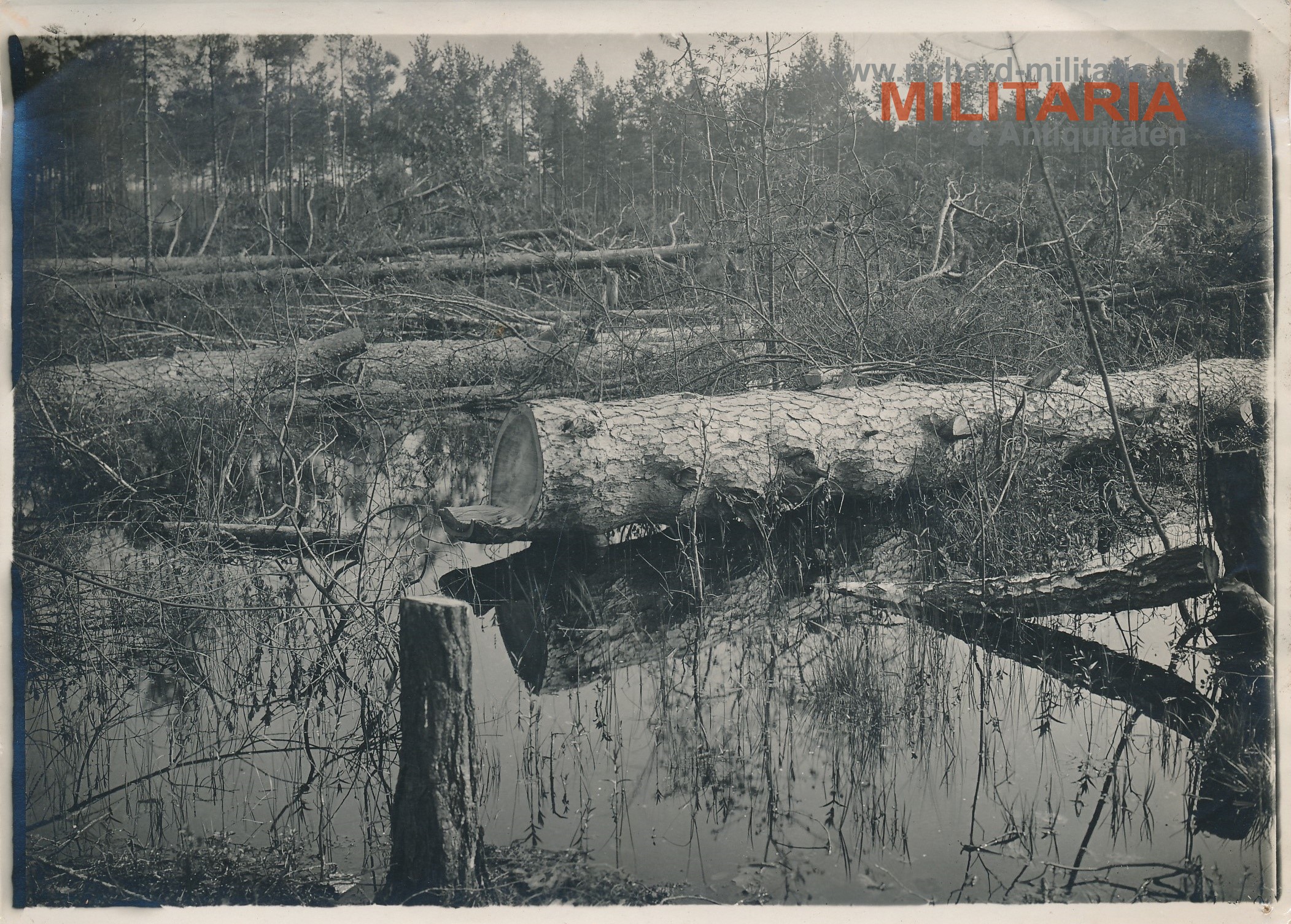 k.u.k. Foto "Storkov (?) 1917"
