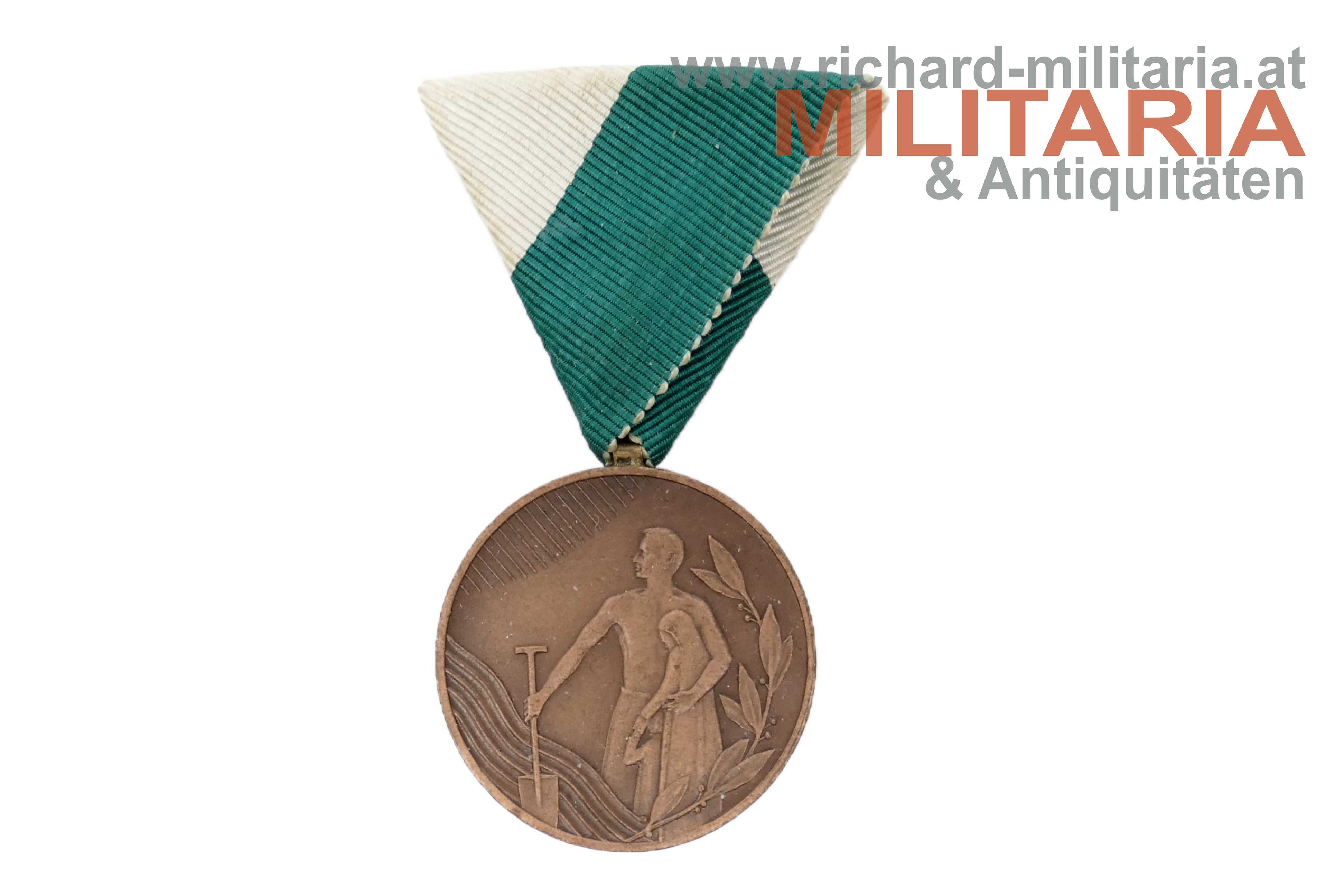 Steiermark Hochwassermedaille 