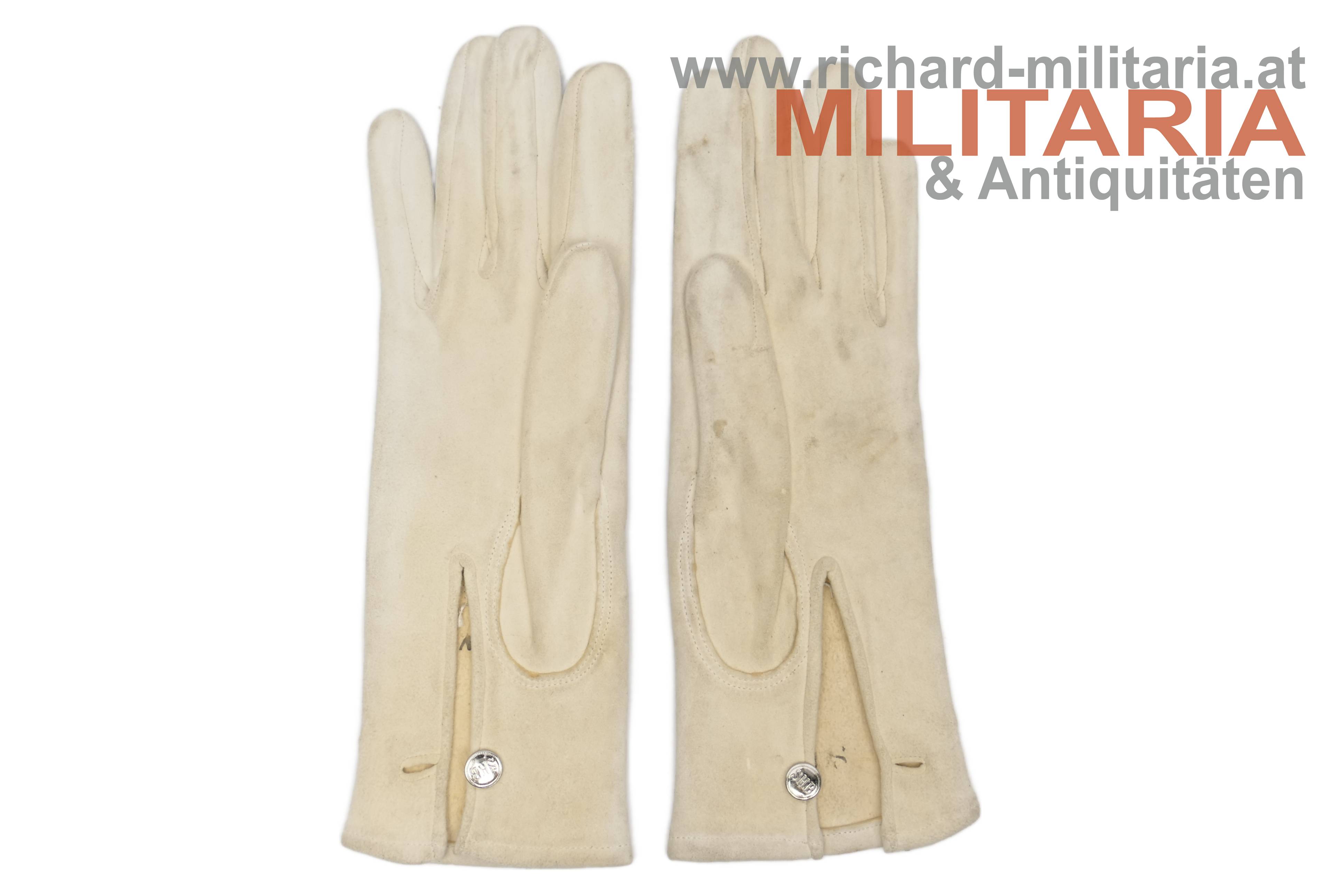 k.u.k. Offizier - Handschuhe & Celluloid-Kragen