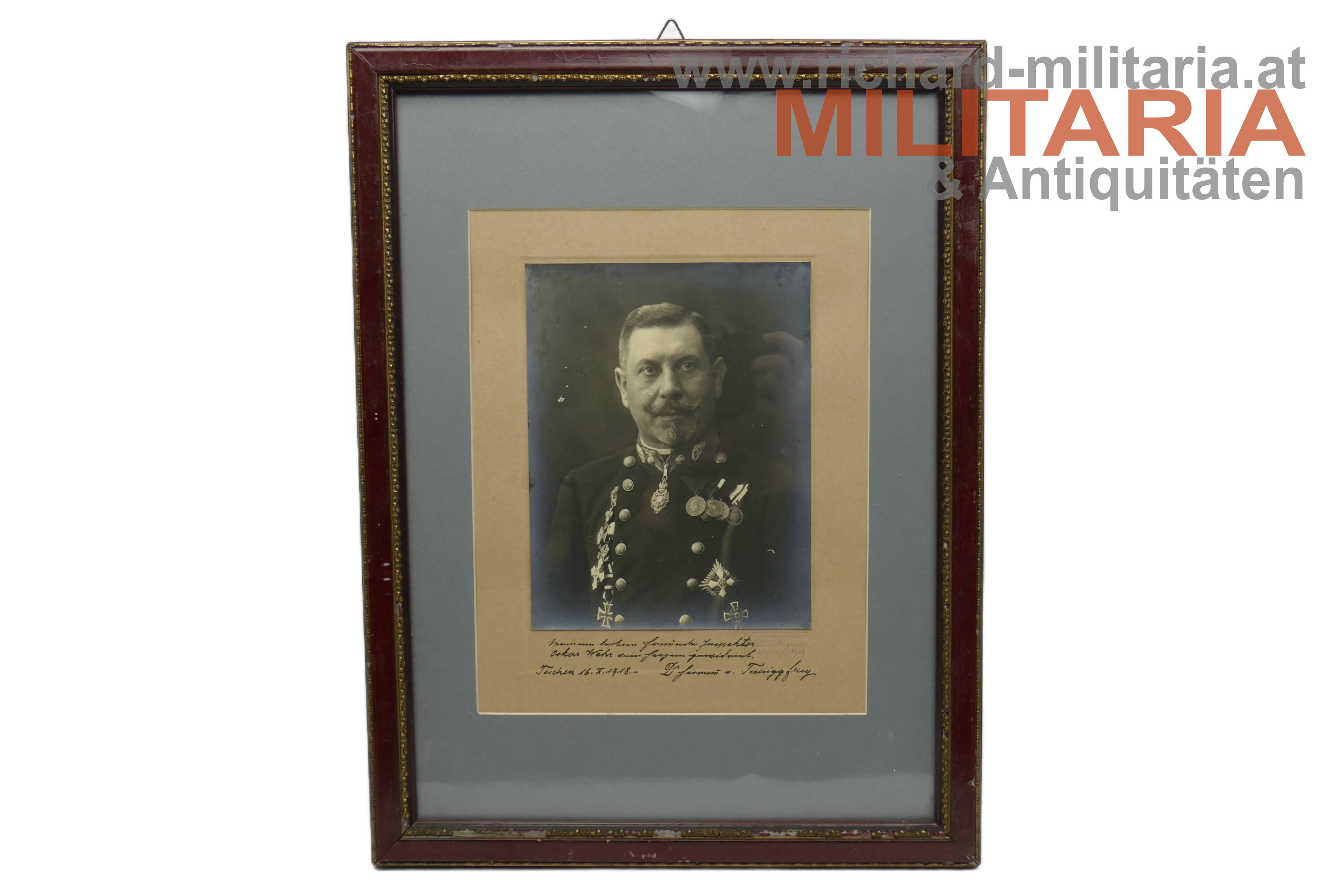 k.k. Eisenbahndirektor Dr. Hermann Tschigg-Frey (1918)